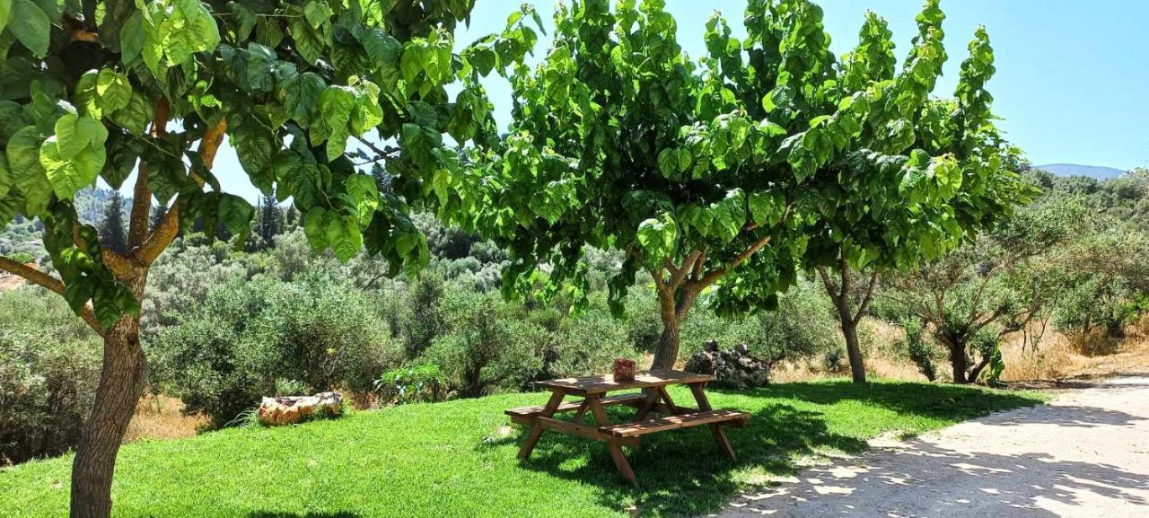 Lily Home_Lefkada ~ Private Country House Kondaraíni Exterior foto