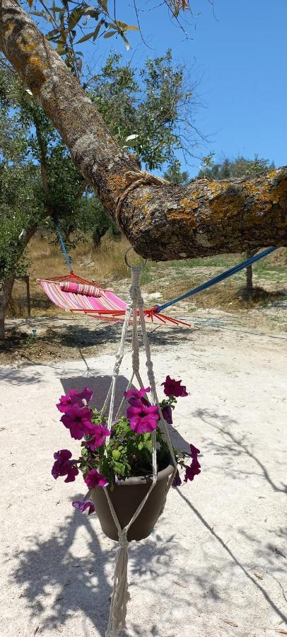 Lily Home_Lefkada ~ Private Country House Kondaraíni Exterior foto