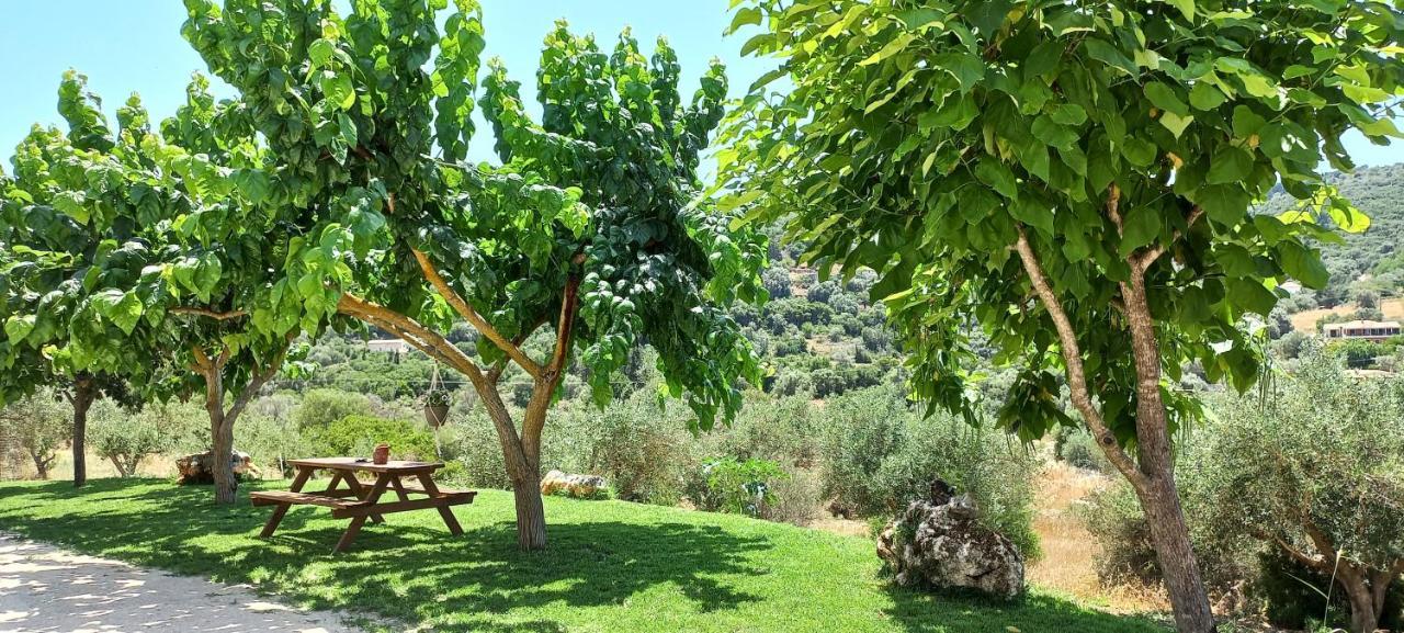 Lily Home_Lefkada ~ Private Country House Kondaraíni Exterior foto