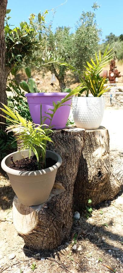 Lily Home_Lefkada ~ Private Country House Kondaraíni Exterior foto