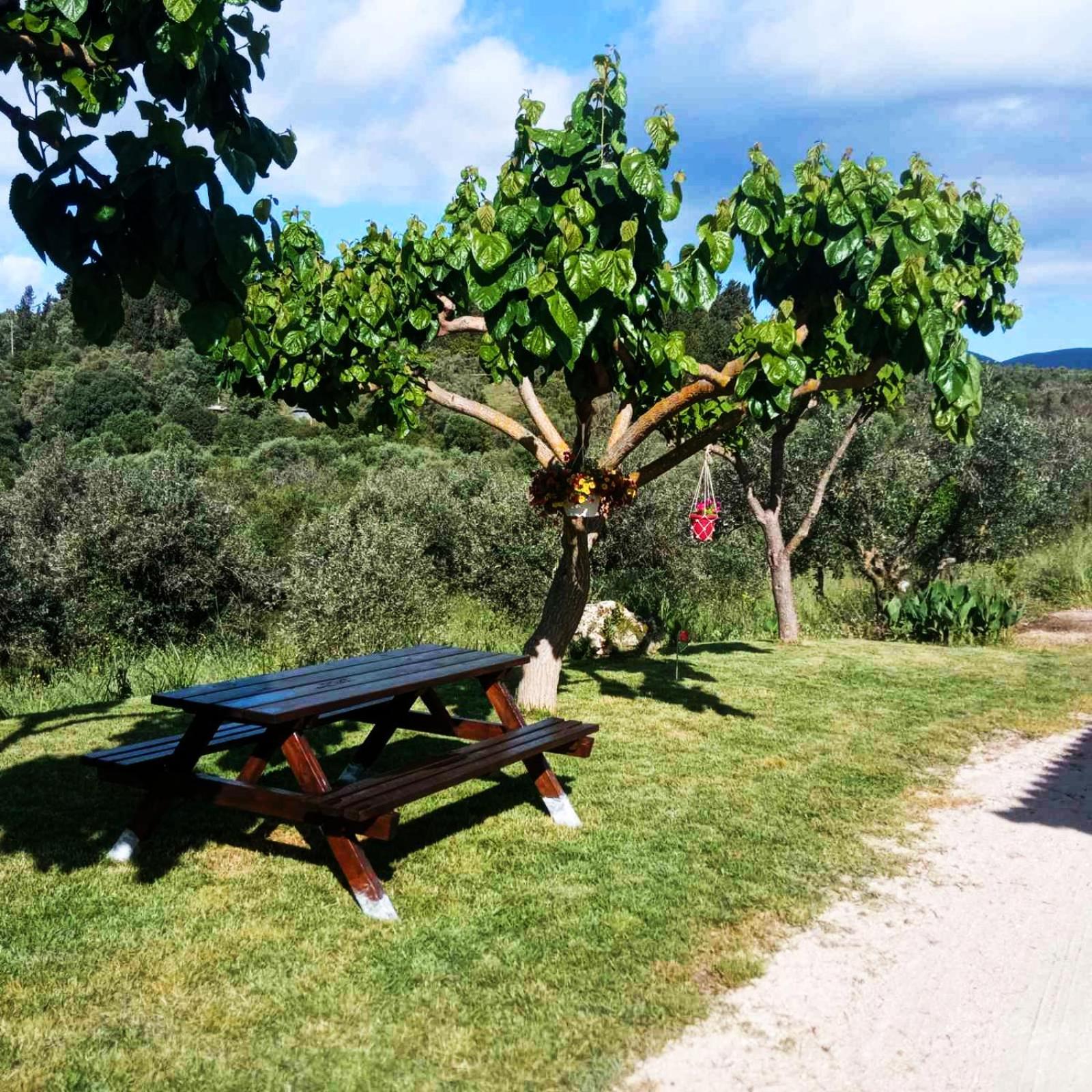 Lily Home_Lefkada ~ Private Country House Kondaraíni Exterior foto