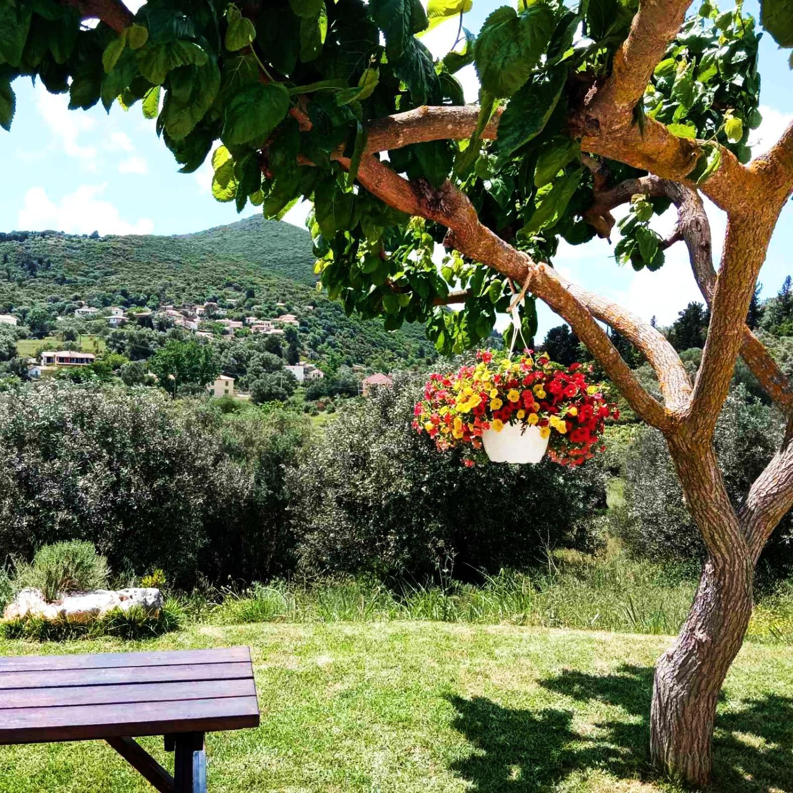 Lily Home_Lefkada ~ Private Country House Kondaraíni Exterior foto